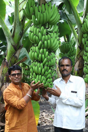 Callus Biotech Success Stories